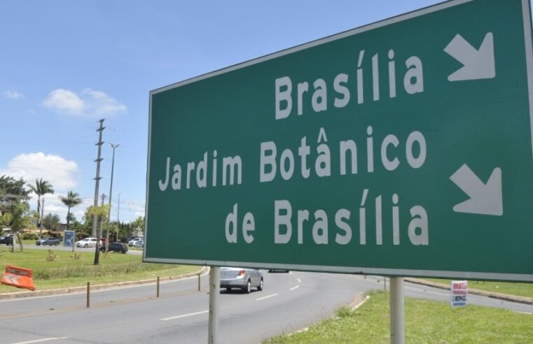 Jardim Botânico terá energia interrompida nesta terça para poda