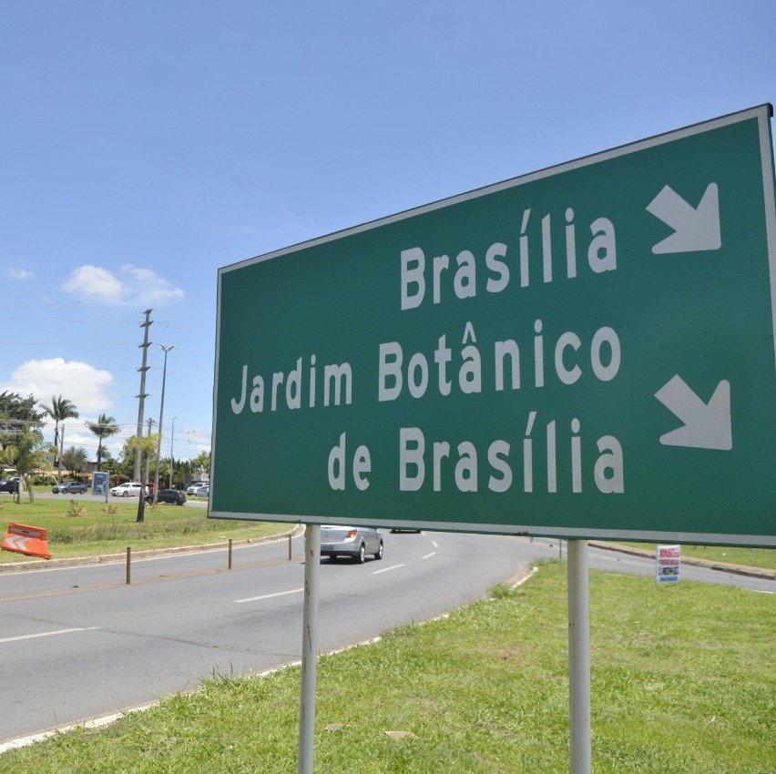 Jardim Botânico terá energia interrompida nesta terça para poda