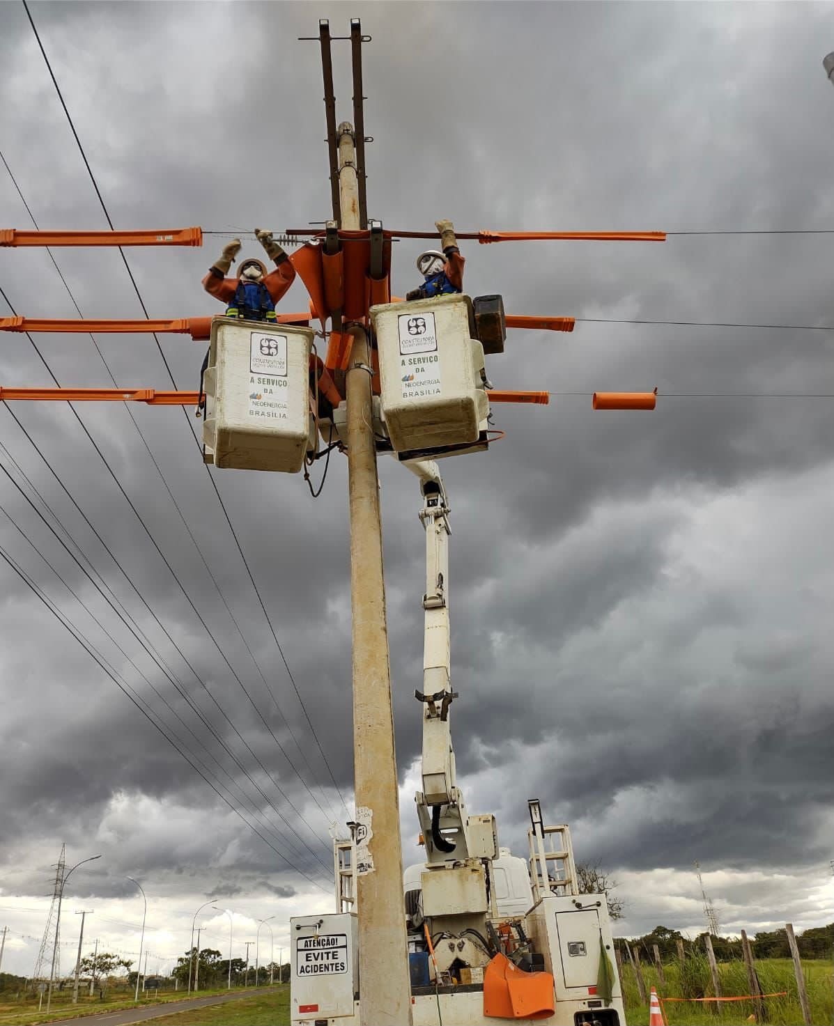Jardim Botânico terá energia suspensa nesta sexta para manutenção