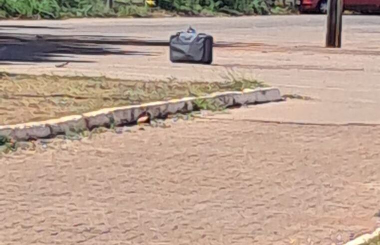 Mala abandonada mobiliza Esquadrão Antibombas da PMDF na 902 Sul