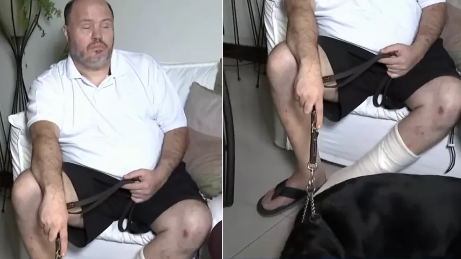 Motorista atropela homem cego com cão-guia no DF e foge sem prestar socorro