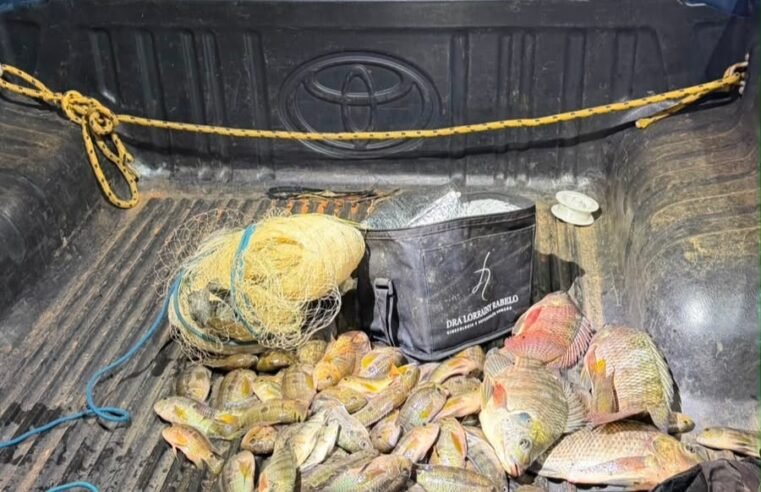 PMDF flagra transporte ilegal de 72 peixes e leva suspeitos à delegacia no Gama