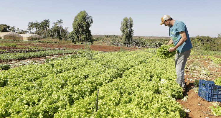Produtores rurais do DF podem solicitar serviços mecanizados