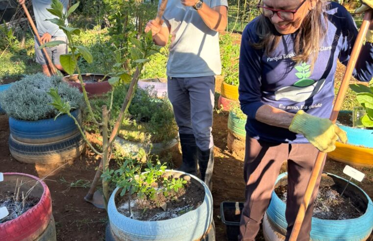 Trabalho voluntário impulsiona reflorestamento no Parque Ecológico de Águas Claras 