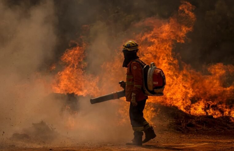 Bombeiros combatem mais de 600 incêndios florestais em agosto no DF