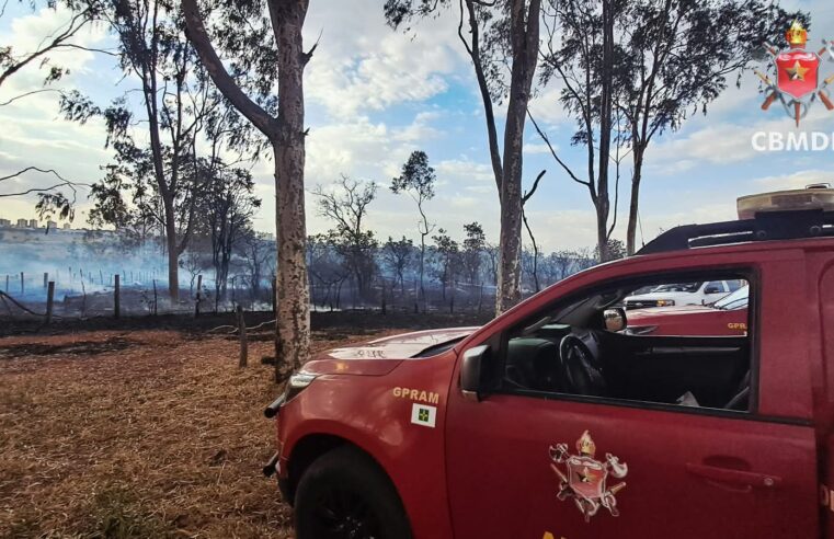 Bombeiros registram 40 incêndios em vegetação no DF em um único dia
