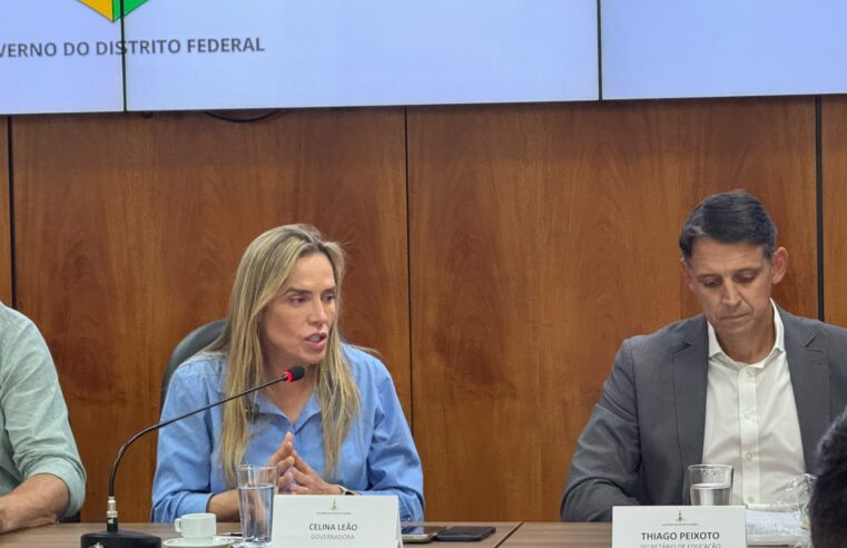 Celina Leão recebeu representantes das Organizações da Sociedade Civil no Palacio do Huriti