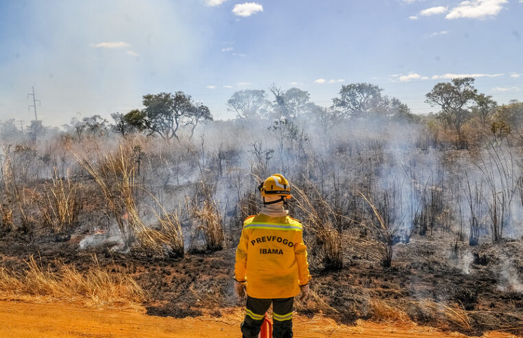 DF registra 46 incêndios em vegetação neste sábado (29)