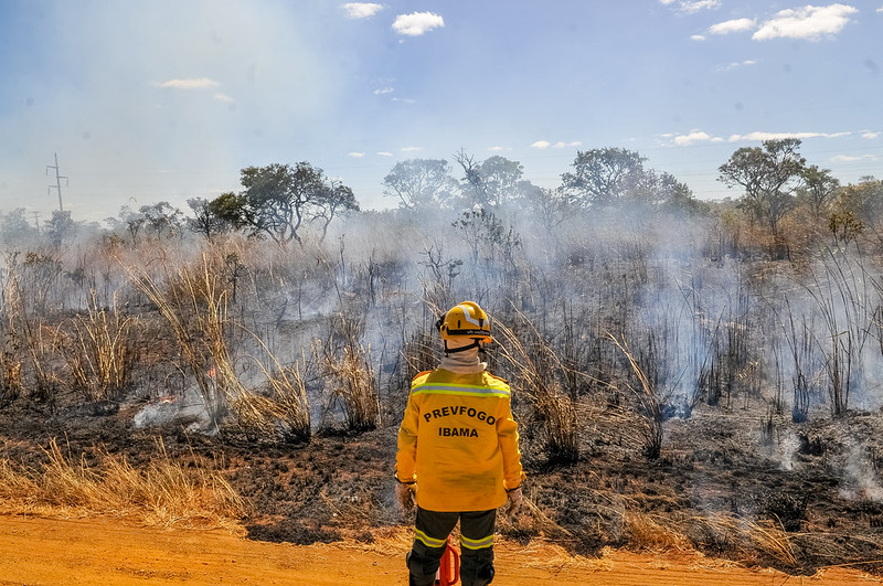 DF registra 46 incêndios em vegetação neste sábado (29)