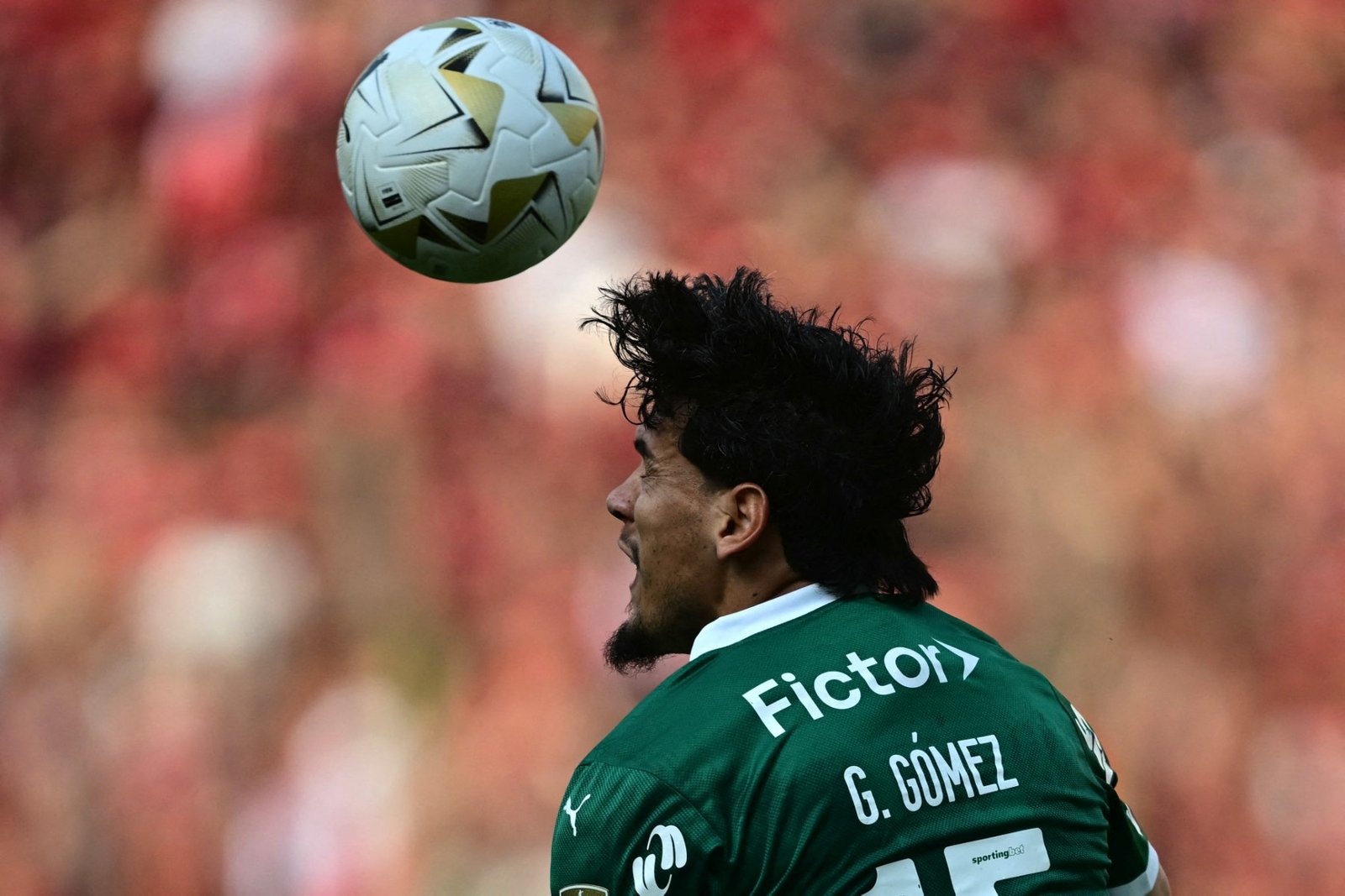 Gustavo Gómez segue fora contra o Inter e Palmeiras espera retorno na Libertadores