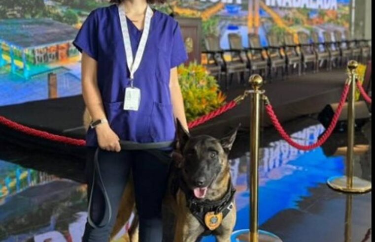 Médica-veterinária atacada por cão do Senado está internada em estado grave