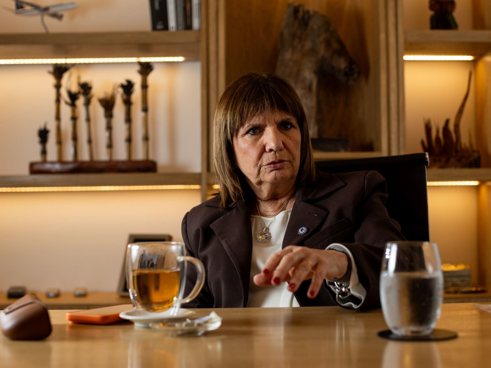 Patricia Bullrich defende apoio de Milei a Flávio e cobra retorno de embaixador brasileiro