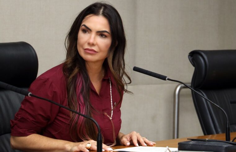 Paula Belmonte promete revitalizar W3 Norte e quer BRB financiando retomada do comércio