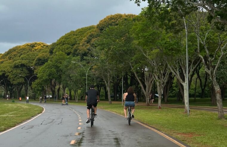 Pedalar no DF ainda é seguro? Mortes de ciclistas acendem alerta