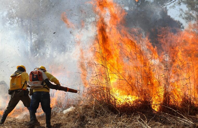 Bombeiros atendem 38 incêndios em vegetação neste sábado no DF