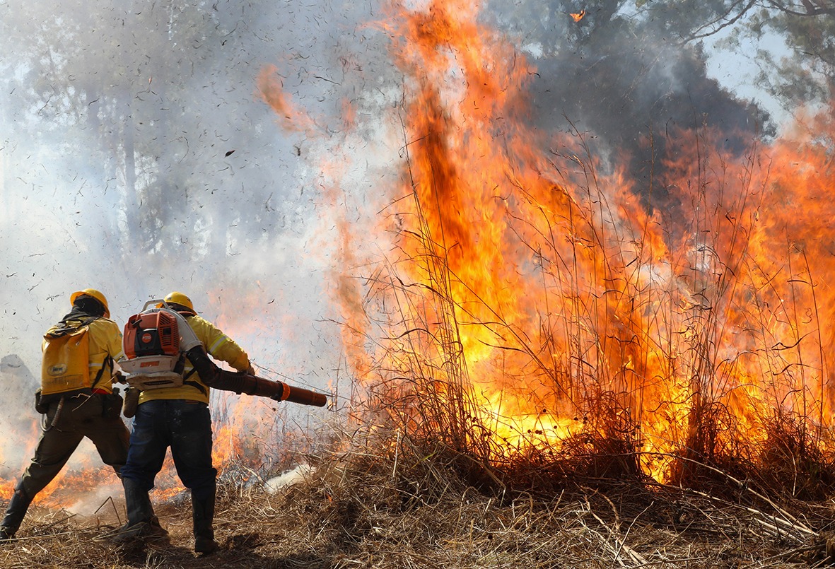 Sem chuva há mais de 50 dias, DF acende alerta para incêndios florestais
