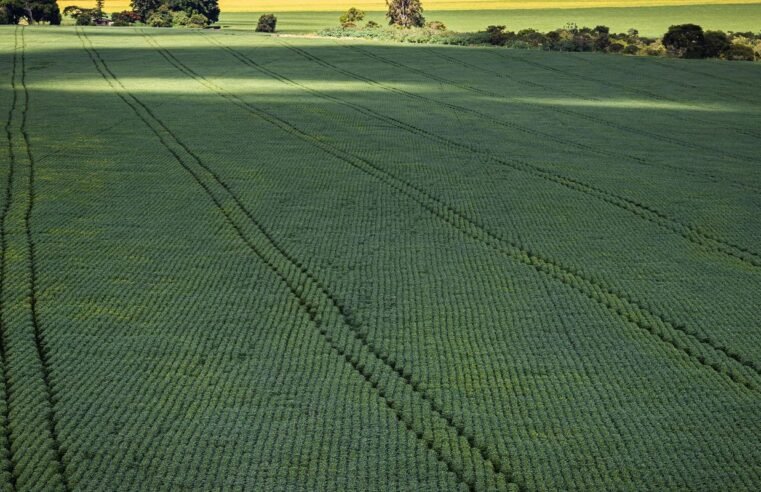 Senado aprova plano para fabricação de fertilizantes no Brasil