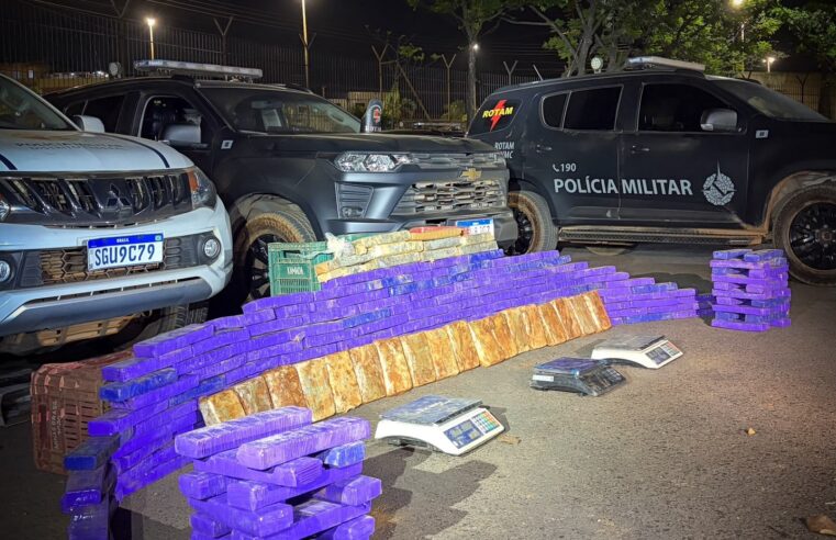 Baia de cavalos escondia R$ 650 mil em drogas em Samambaia