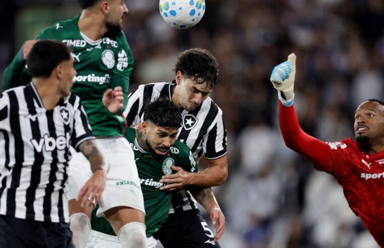 Botafogo segura Palmeiras e ajuda Flamengo, novo líder do Brasileirão