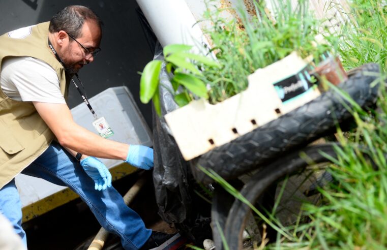 DF reforça combate à dengue antes das chuvas e aposta em novas tecnologias contra o mosquito