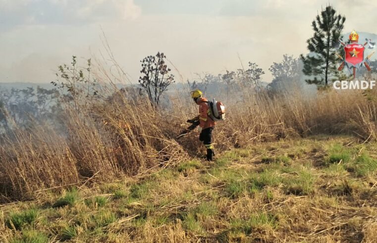 DF registra 46 incêndios em vegetação em apenas um dia, aponta Corpo de Bombeiros