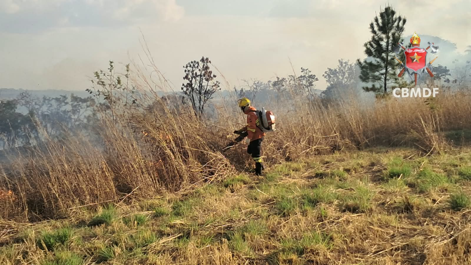 DF registra 46 incêndios em vegetação em apenas um dia, aponta Corpo de Bombeiros
