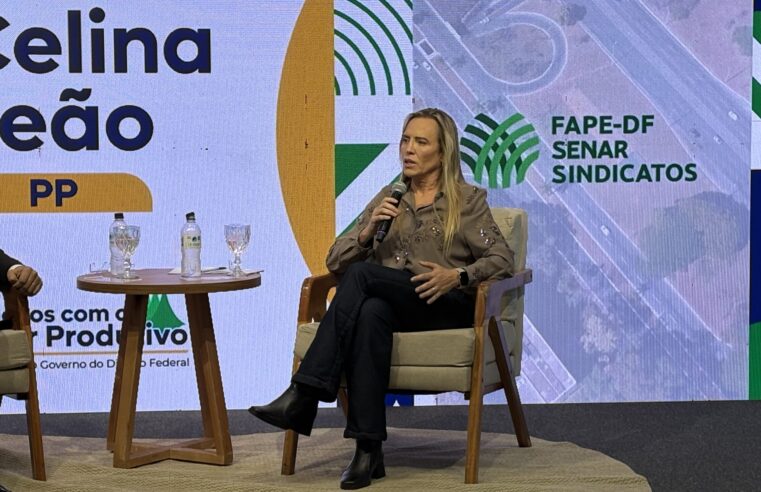 Em evento com empresários, Celina Leão destaca projeto do SCS e parcerias para a saúde no DF