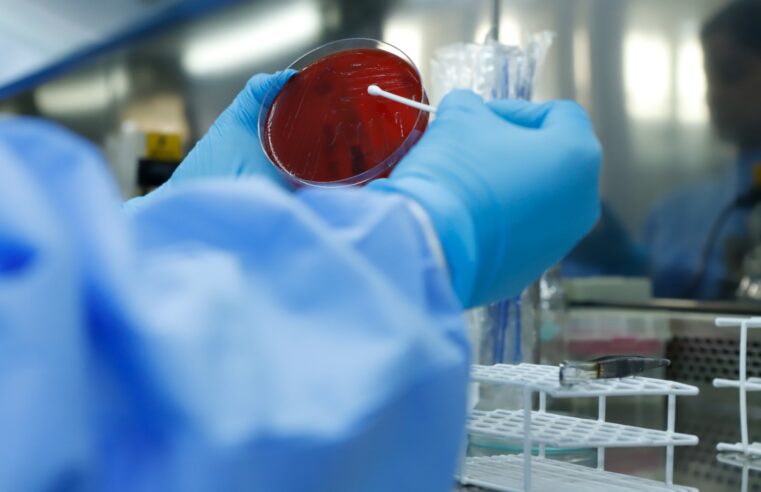 Lacen-DF capacita 13 laboratórios da rede pública para ampliar diagnóstico de doenças