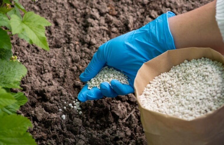 Marrocos vai fornecer 3,8 milhões de toneladas de fertilizantes ao Brasil