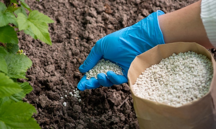 Marrocos vai fornecer 3,8 milhões de toneladas de fertilizantes ao Brasil