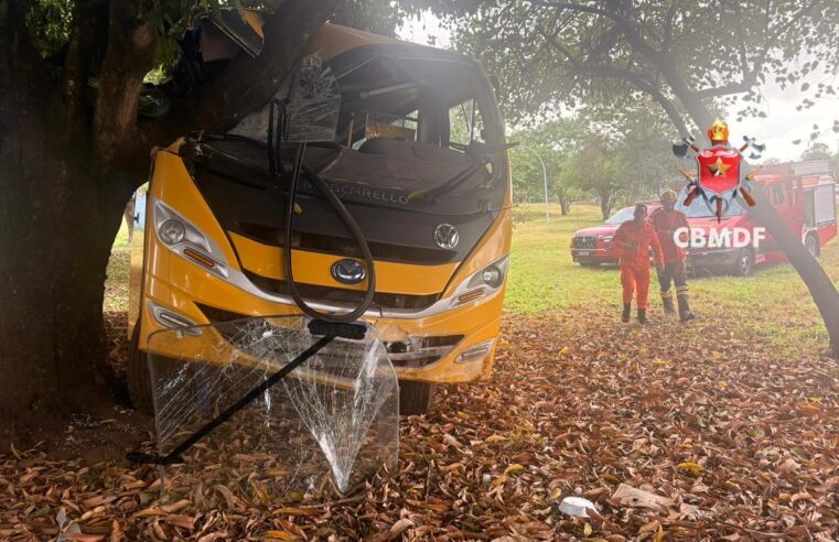 Ônibus escolar com 27 crianças bate contra árvore na BR-020, em Sobradinho