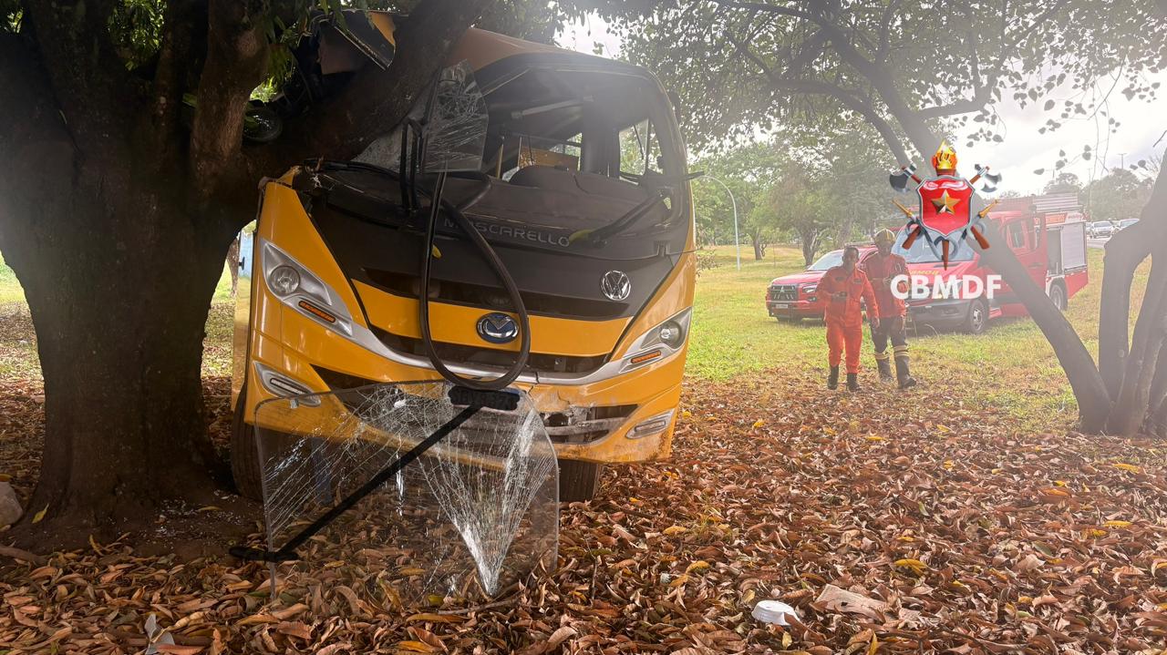 Ônibus escolar com 27 crianças bate contra árvore na BR-020, em Sobradinho