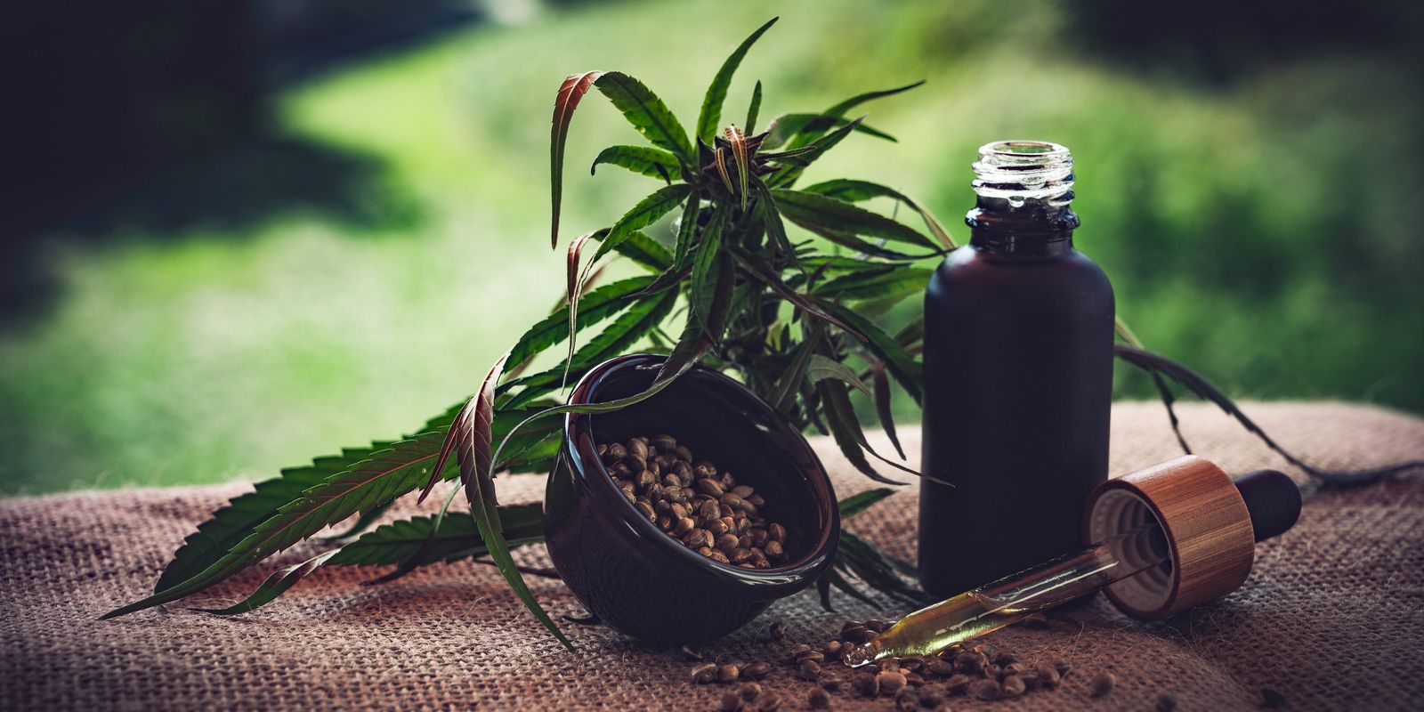 Para associações, normas ainda deixam pontos em aberto sobre cannabis
