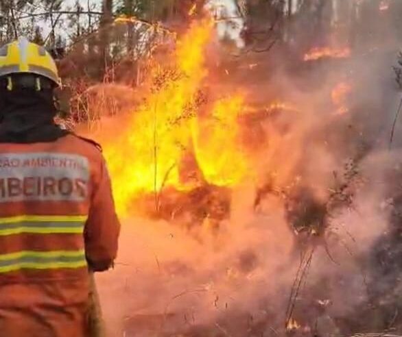 TJDFT mantém condenação por incêndio no Park Way