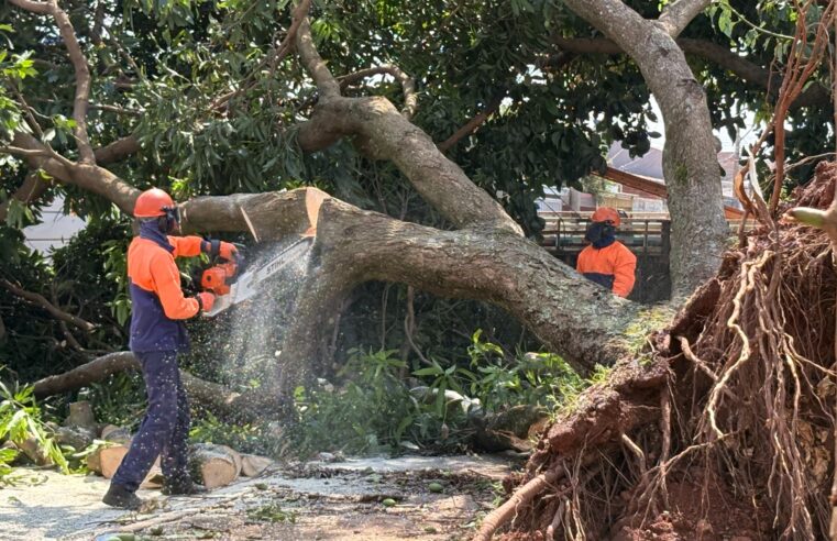Temporal deixa rastro de destruição em Samambaia, Planaltina e Arapoanga