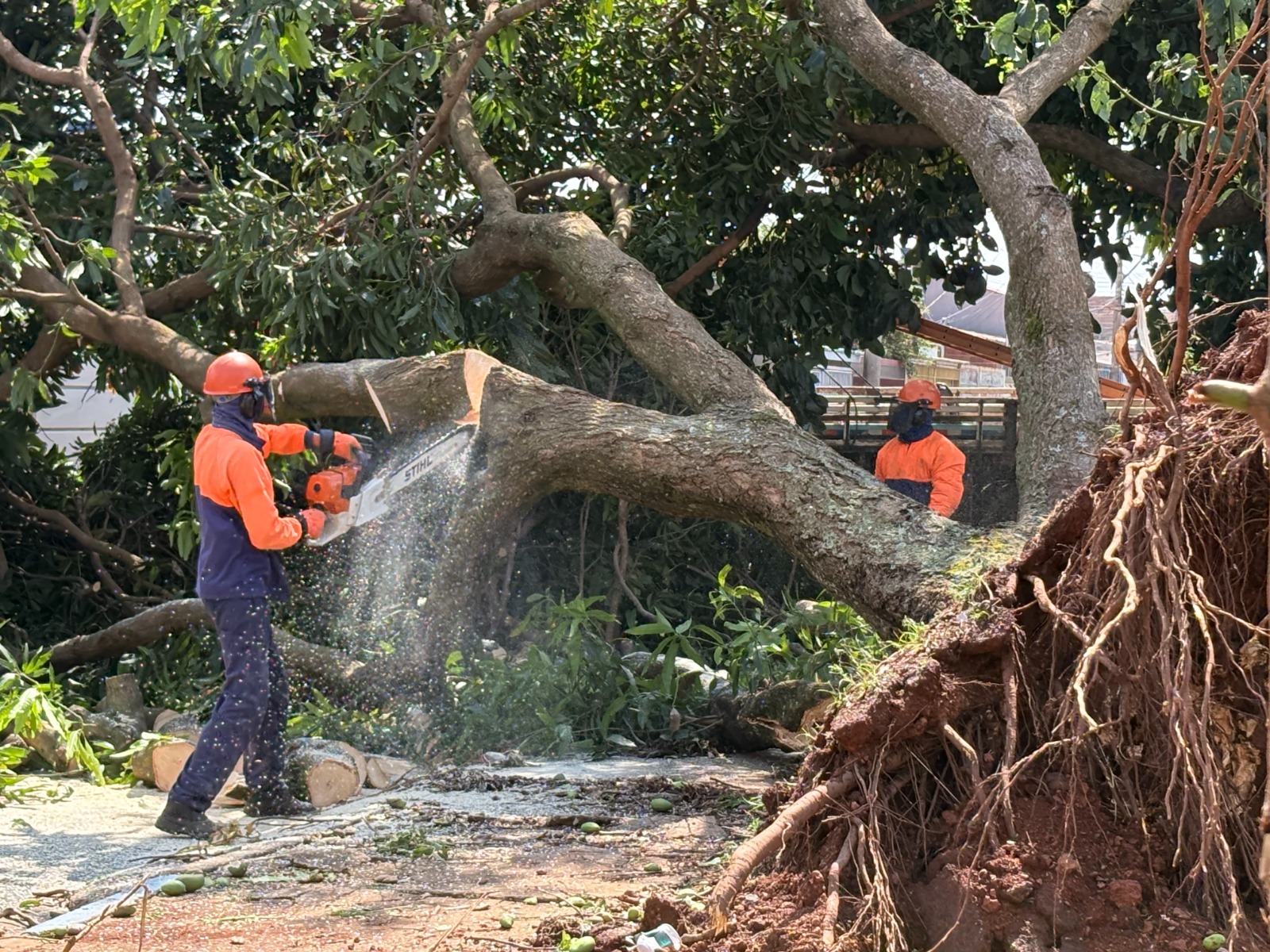 Temporal deixa rastro de destruição em Samambaia, Planaltina e Arapoanga