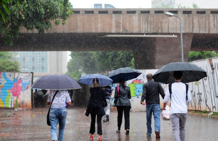 Temporal no DF teve rajadas de até 84 km/h, aponta Inmet