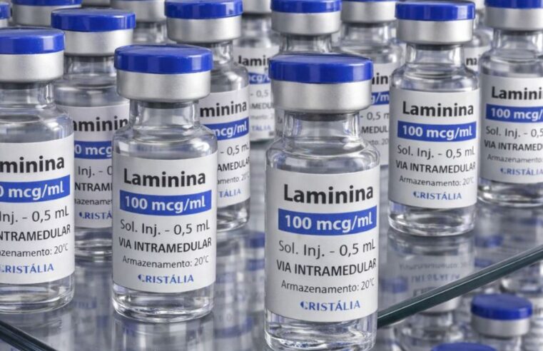 Testes clínicos fase 1 da polilaminina começam este mês