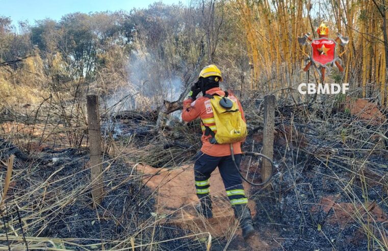 Bombeiros registram 12 incêndios em vegetação no DF no domingo (18)