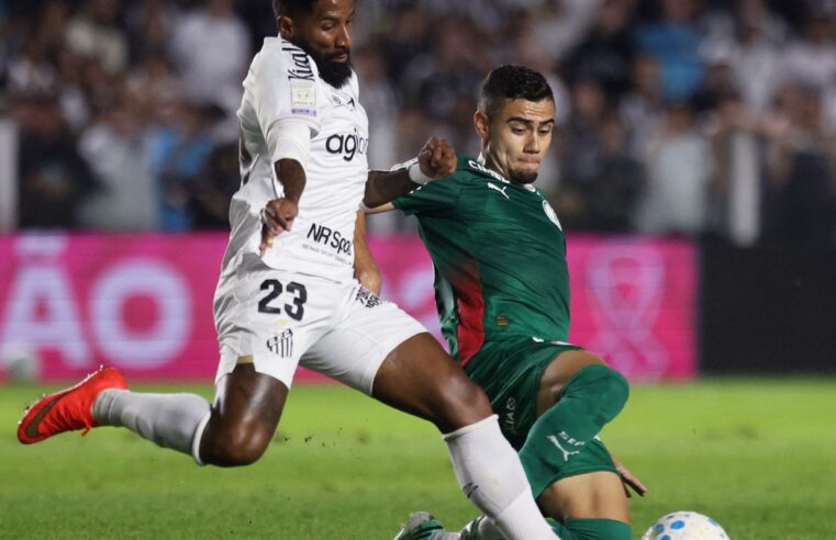 Brasileirão: Palmeiras fica no zero com o Santos e Flamengo agradece