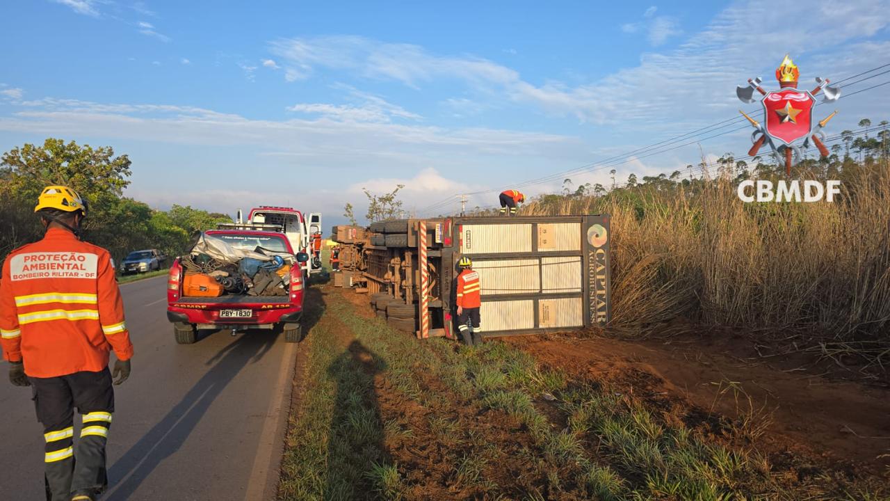 Caminhão com cerca de 48 bovinos tomba na DF-250, em Planaltina