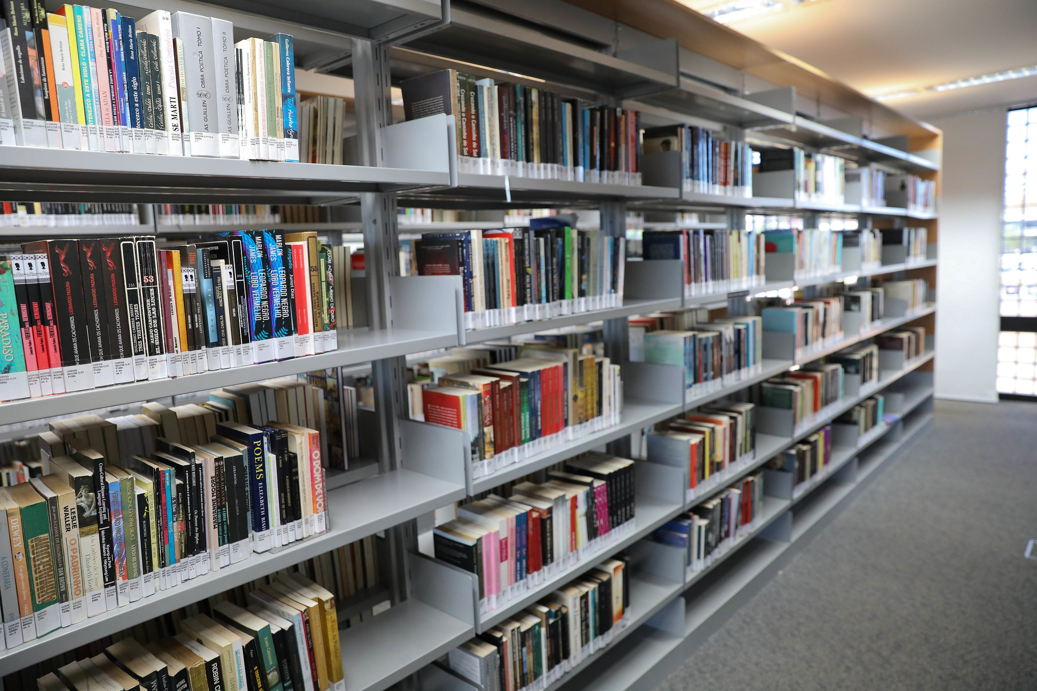 Campanha para devolução de livros atrasados termina neste sábado na BNB