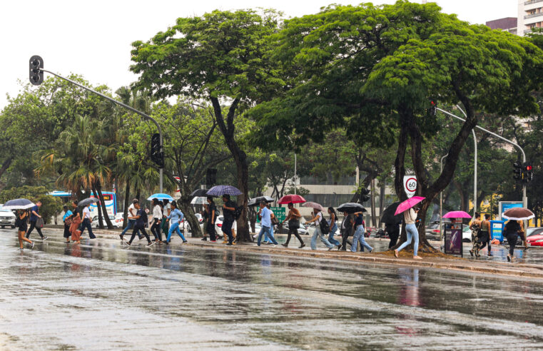 Chuva marca início da pré-estação chuvosa no DF