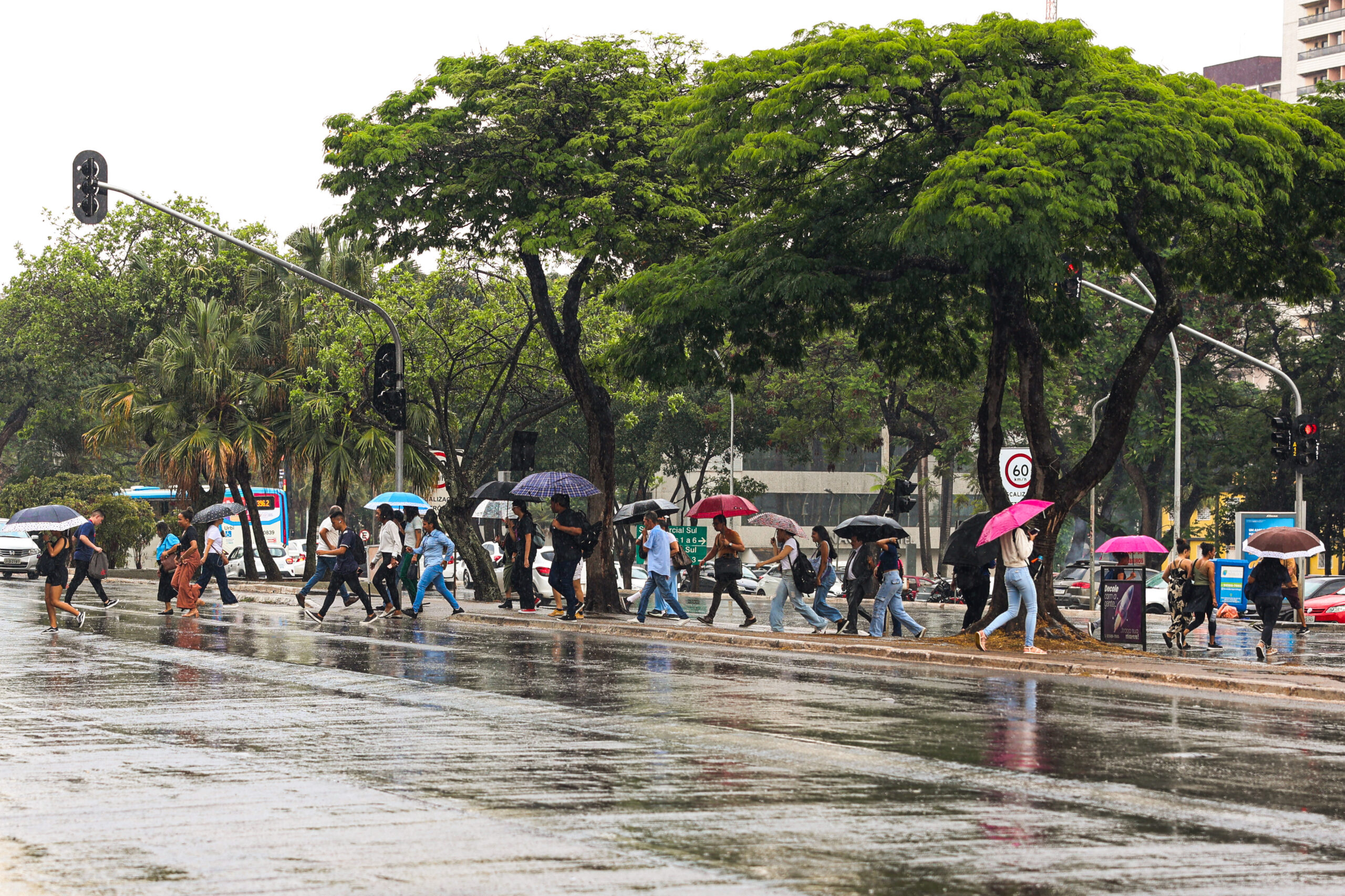 Chuva marca início da pré-estação chuvosa no DF