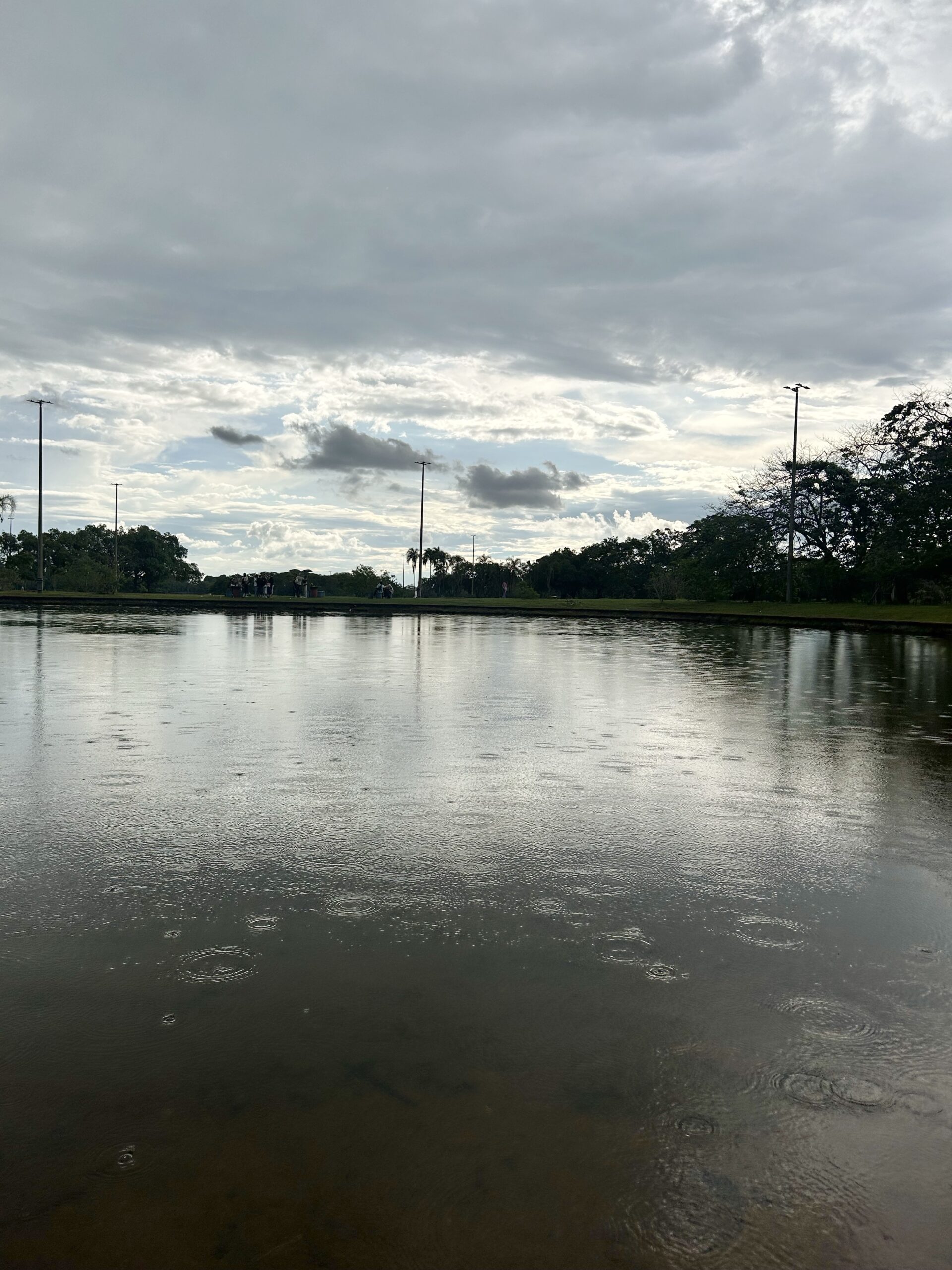 Chuvas e ventanias colocam o DF em alerta no início da semana