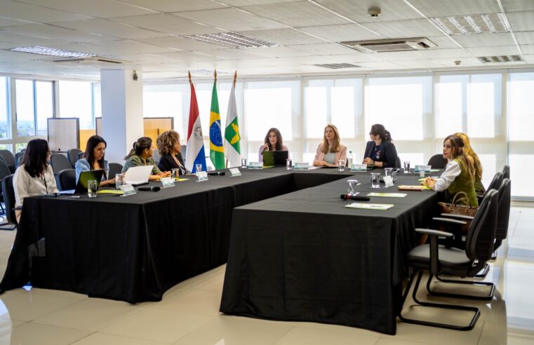 DPDF e Defensoria do Paraguai se reúnem em Brasília para trocar experiências sobre a garantia de direitos