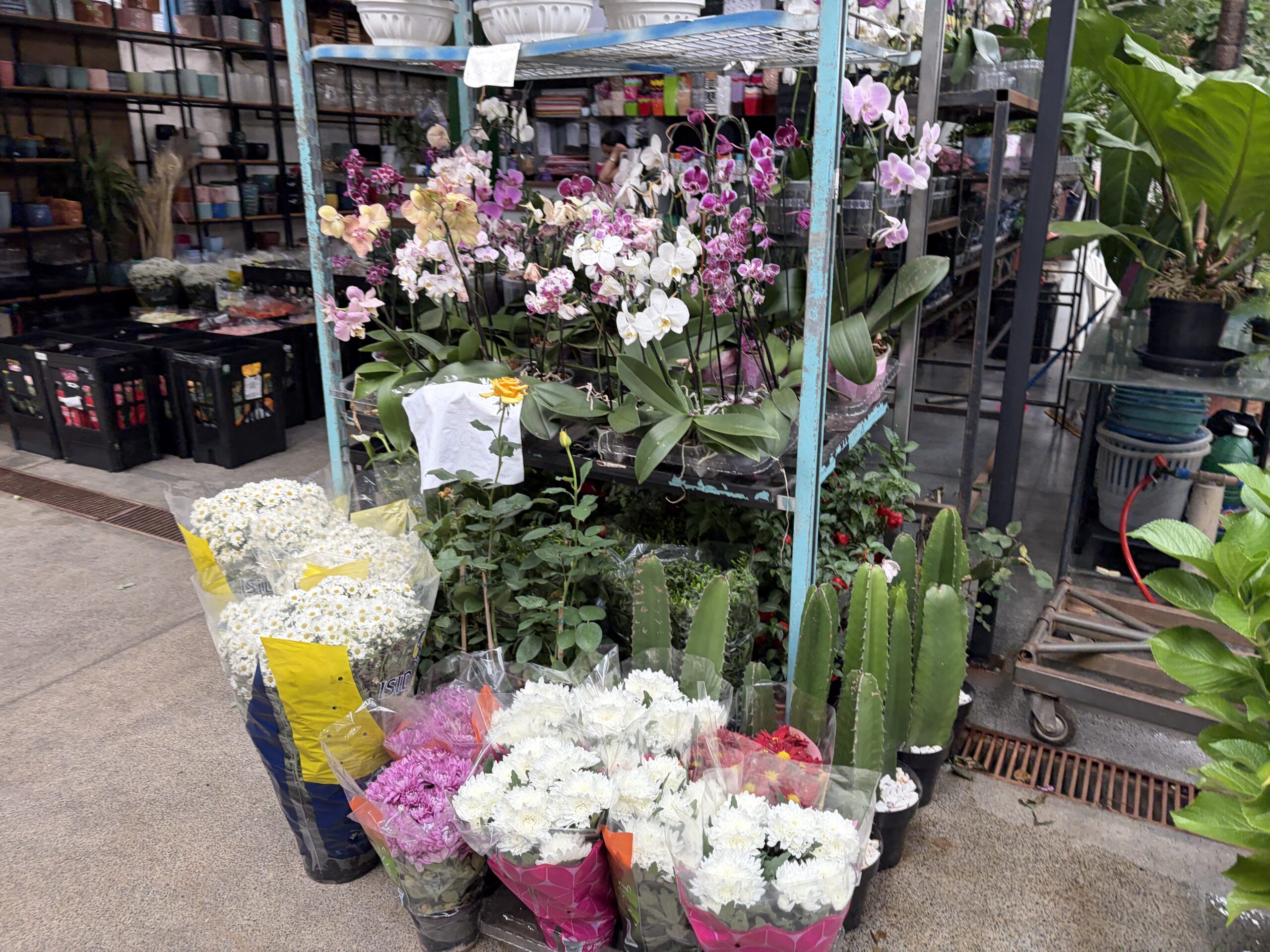 Dia de Finados aquece venda de flores no DF e exige planejamento antecipado