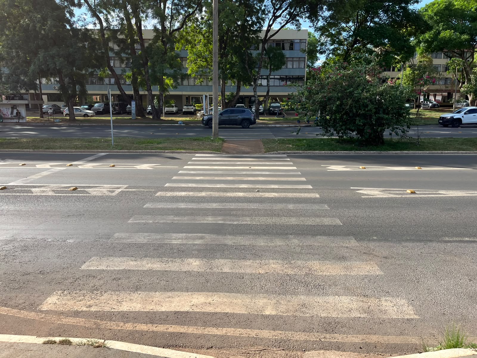 Falta de sinalização dificulta travessia de pedestres no DF