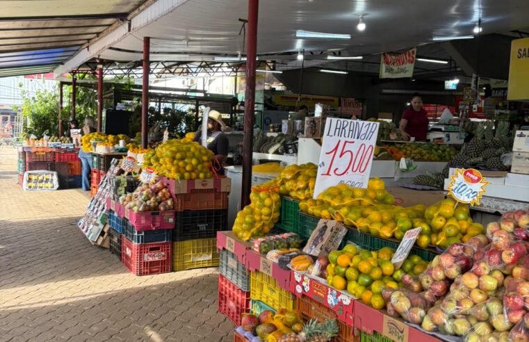 Feira de Planaltina une frescor, agricultura familiar e preços baixos no DF
