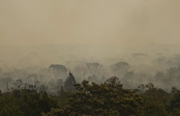Força Nacional do SUS apoia atendimentos no Amazonas após incêndios